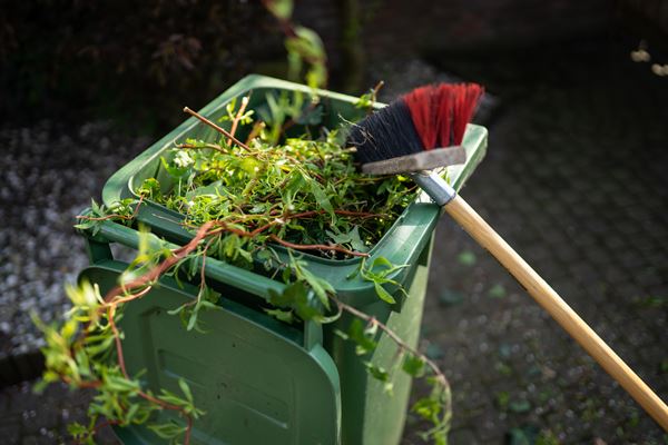 Garden waste subscriptions for 2024/25